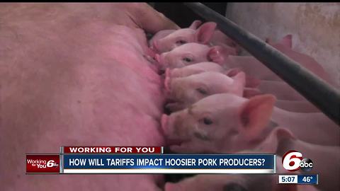 Indiana hog farmers concerned about how China's imposed tariffs will impact their production