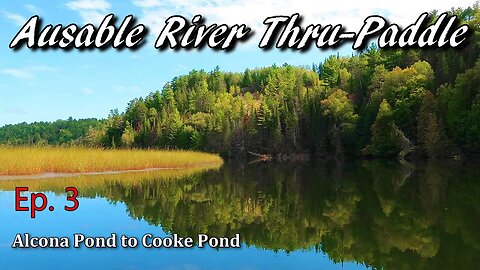 Kayak Camping the Ausable River - Episode 3 | Alcona Pond to Cooke Pond | Thru-Paddling 126 Miles