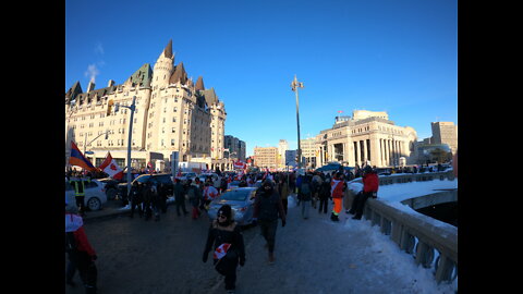 Freedom Convoy Ottawa - Police confront peaceful protestors