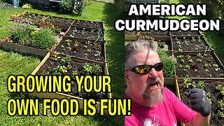 GROWING YOUR OWN FOOD IS FUN!