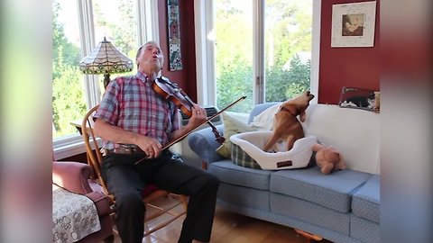 Puppy and Owner make Music Together!