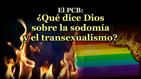 El PCB: ¿Qué dice Dios sobre la sodomía y el transexualismo?