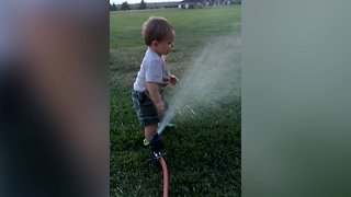 Kids Playing in the Sprinklers