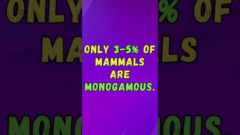 🐒Discover Fascinating Animal Facts👀 #shorts #shortsfact #animalfacts #monogamous #mammalia #monogamy