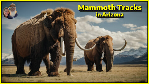 Wooly Mammoth tracks in the Arizona Desert.