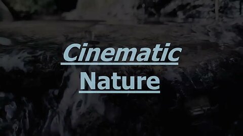 #Cinematic|Nature