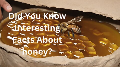 Did You Know Interesting Facts About honey?