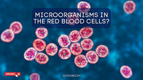 Pleimorphic Microorganisms in...Human Red Blood Cells?