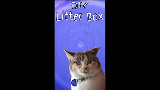 Indestructible DIY Cat Litter Box