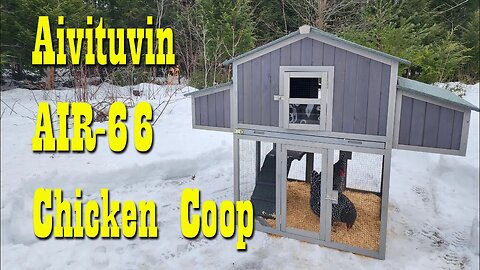 Aivituvin AIR-66 Foldable Chicken Coop ~ Review