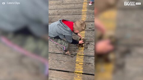 Rapaz tenta ajudar caranguejo a voltar para o mar