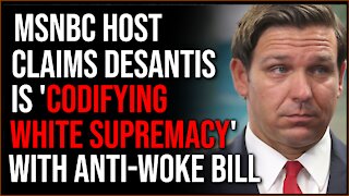 MSNBC Host Claims Ron DeSantis Wants To 'Codify White Supremacy' With His Anti-Critical Theory Bill