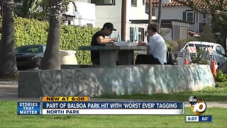 Portion of Balboa Park hit with 'worst ever' tagging