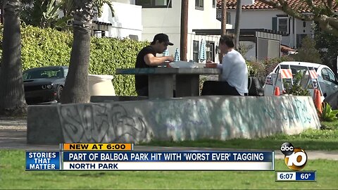 Portion of Balboa Park hit with 'worst ever' tagging