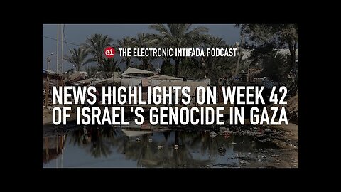 News highlights on week 42 of Israel's genocide in Gaza, with Nora Barrows-Friedman