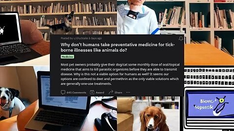 The Future of Preventative Medicine for Tick-Borne Illnesses in Humans: Expert Insights on Reddit