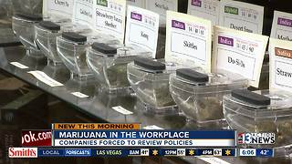 Marijuana in the workplace questions