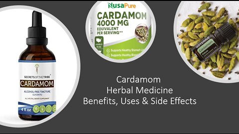 Cardamom Herbal Medicine Benefits, Uses & Side Effects