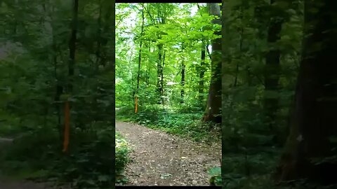 BANEASA Forest - Trailer, Bucharest - Ilfov | 4k Virtual Tour | #shorts