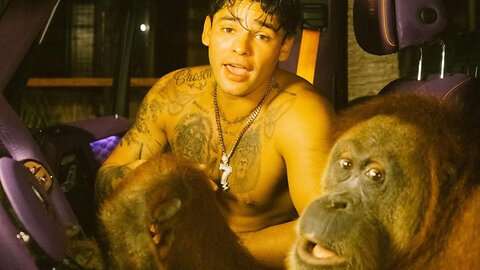 Ryan Garcia coolin with an orangutan