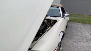 1988 Jaguar XJS Convertible V12