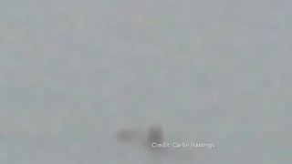 Strange creature caught on camera on Lake Michigan