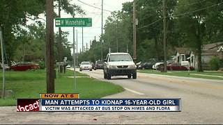 Teen attempted kidnapping