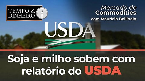 Soja e milho sobem com relatório do USDA. Petróleo sobe em dia de otimismo.