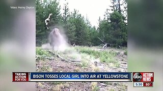 Florida girl tossed in air after bison charges Yellowstone tourists