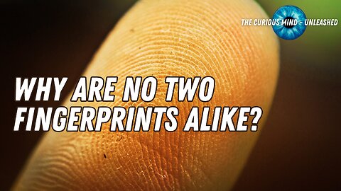 Why No Two Fingerprints Are the Same