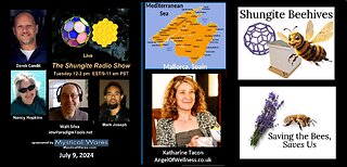 SHUNGITE REALITY 7-9-24 - Katharine Tacon on Shungite Beehives