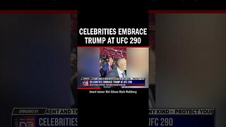 Celebrities Embrace Trump at UFC 290