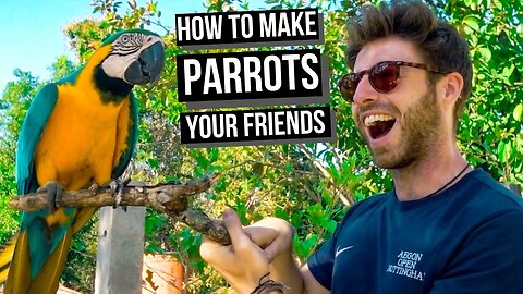 TRAVELLING TO CARTAGENA, COLOMBIA (and finding PARROTS and TOUCANS)