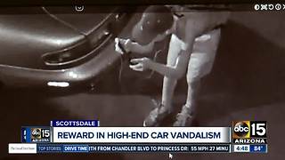 Reward offered for info leading to arrest of luxury car vandal