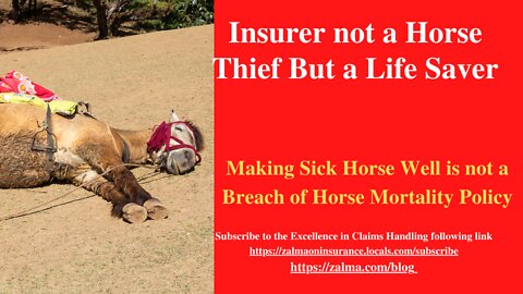 Insurer not a Horse Thief, But a Life Saver