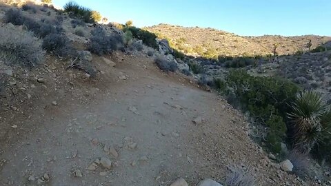 Ryan Mountain Trail in Joshua Tree