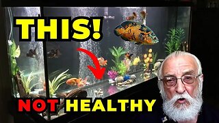 What is a Healthy Aquarium?