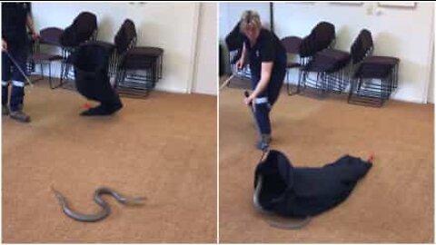 Woman demonstrates how to catch a snake