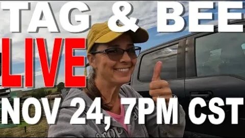 TAG & BEE LIVE