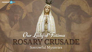 Tuesday, January 26, 2021 - Our Lady of Fatima Rosary Crusade