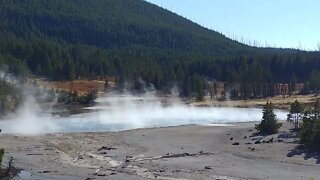 Yellowstone NP Norris Back Basin