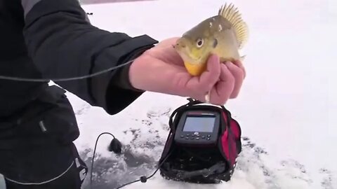 MidWest Outdoors TV Show #1556 - Small lake panfish on first ice in Minnesota.