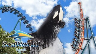 A Day at SeaWorld Orlando 🐬🌊 All Rides & Experiences