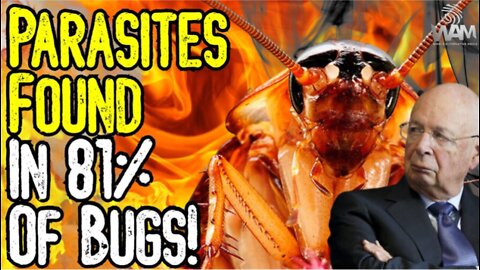 The Great Reset Agenda IS EVIL! – We’re Not Cattle – Parasites Found In 81% OF BUGS!