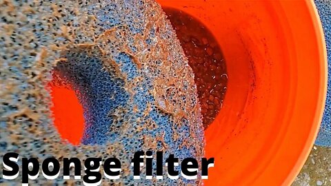 DIY pond filter performance review (aquaponics filter- pond filter)