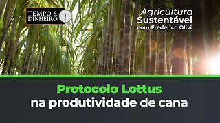 Protocolo Lottus BioSoluções mostrando antes e depois do SH-24