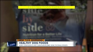Healthy foods for your dog