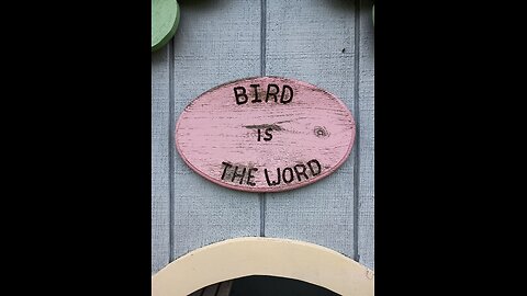 Bird is the Word