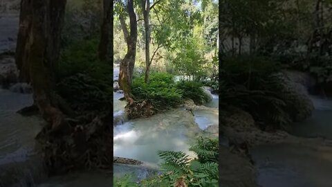 Kuang Si Waterfall Luang Prabang Laos 🇱🇦 #laos #Waterfall #shorts #luangprabang