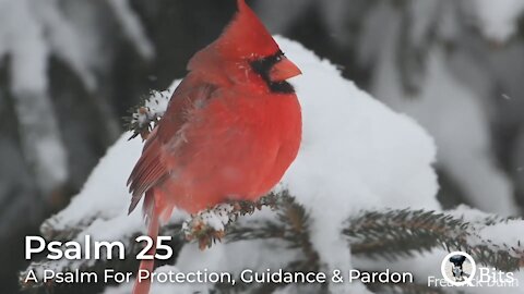 PSALM 025 // PRAYER FOR PROTECTION, GUIDANCE AND PARDON